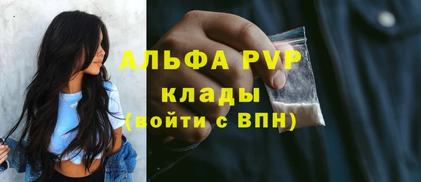 прущие крисы Верея