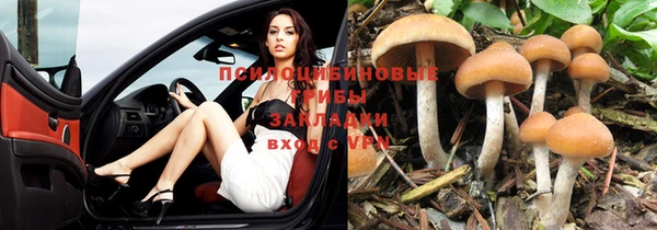 прущие крисы Верея